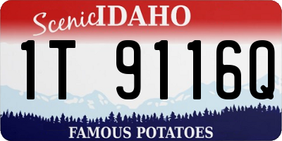ID license plate 1T9116Q