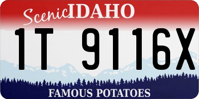 ID license plate 1T9116X