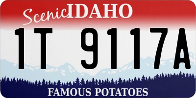 ID license plate 1T9117A