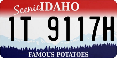 ID license plate 1T9117H