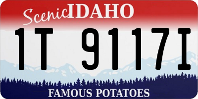 ID license plate 1T9117I