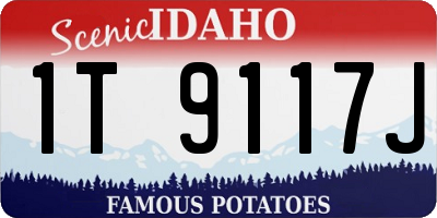ID license plate 1T9117J