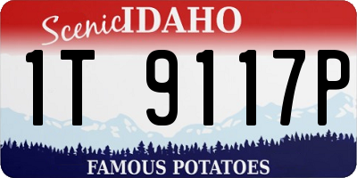 ID license plate 1T9117P