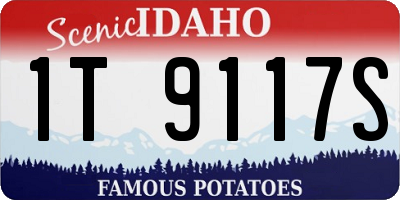 ID license plate 1T9117S