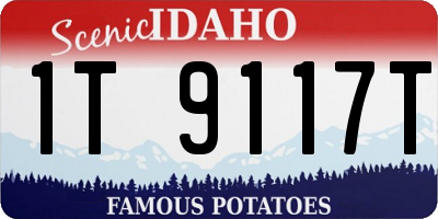 ID license plate 1T9117T