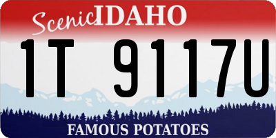 ID license plate 1T9117U