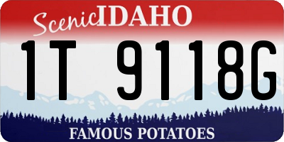 ID license plate 1T9118G