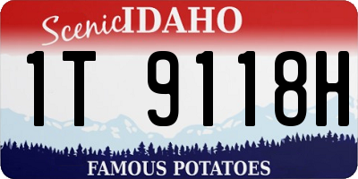 ID license plate 1T9118H
