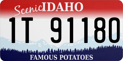 ID license plate 1T9118O