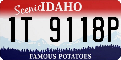 ID license plate 1T9118P