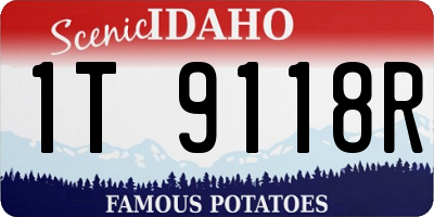 ID license plate 1T9118R
