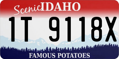 ID license plate 1T9118X