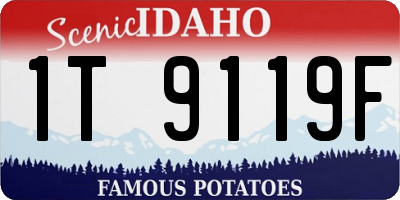 ID license plate 1T9119F