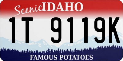 ID license plate 1T9119K