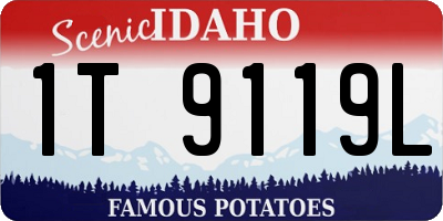 ID license plate 1T9119L