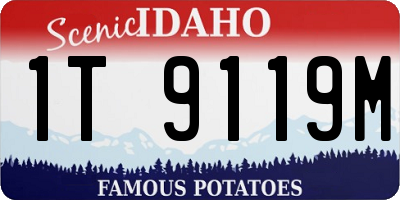 ID license plate 1T9119M