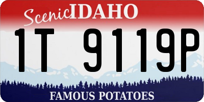ID license plate 1T9119P