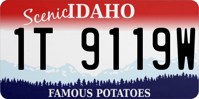 ID license plate 1T9119W