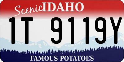 ID license plate 1T9119Y