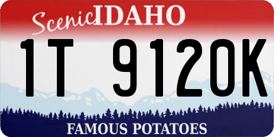 ID license plate 1T9120K