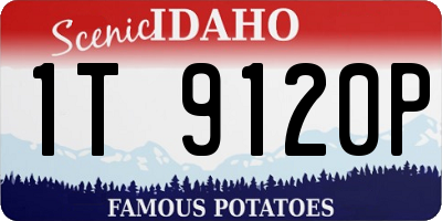 ID license plate 1T9120P
