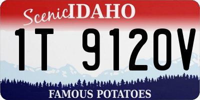 ID license plate 1T9120V