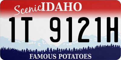 ID license plate 1T9121H