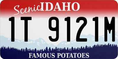 ID license plate 1T9121M