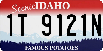 ID license plate 1T9121N