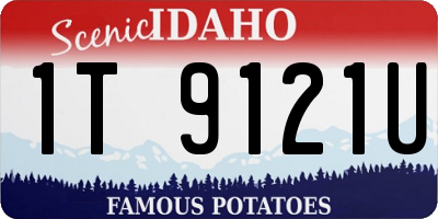 ID license plate 1T9121U