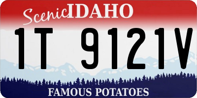 ID license plate 1T9121V