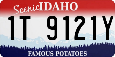ID license plate 1T9121Y