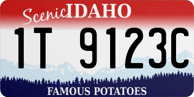 ID license plate 1T9123C