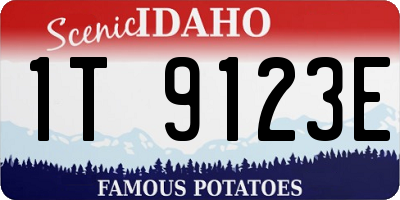 ID license plate 1T9123E