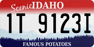 ID license plate 1T9123I