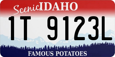 ID license plate 1T9123L