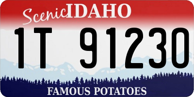 ID license plate 1T9123O