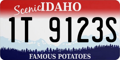 ID license plate 1T9123S