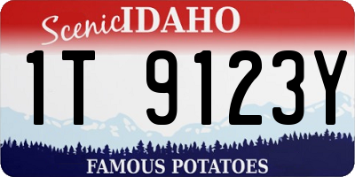 ID license plate 1T9123Y