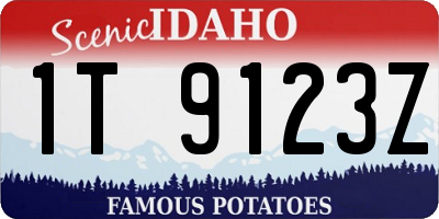 ID license plate 1T9123Z