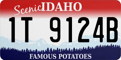 ID license plate 1T9124B
