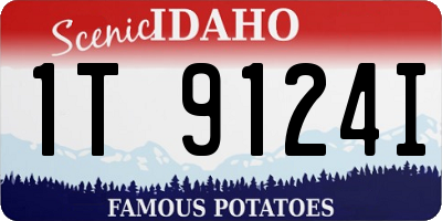 ID license plate 1T9124I