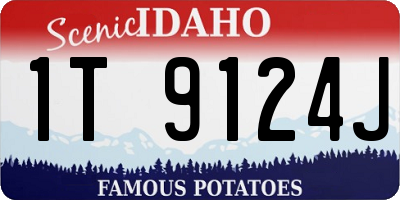 ID license plate 1T9124J