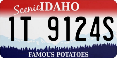 ID license plate 1T9124S