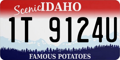 ID license plate 1T9124U