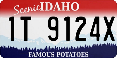 ID license plate 1T9124X