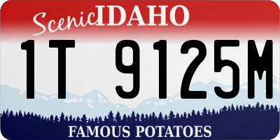 ID license plate 1T9125M