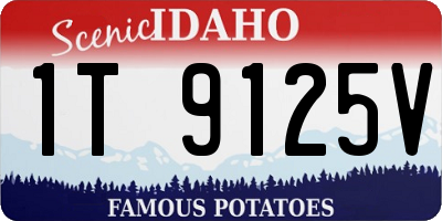 ID license plate 1T9125V