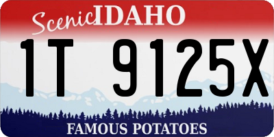 ID license plate 1T9125X