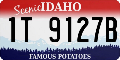 ID license plate 1T9127B